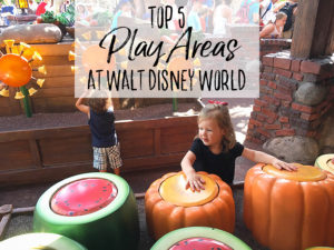 Top 5 Playgrounds at Walt Disney World