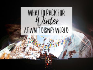 What to Pack for Winter at Walt Disney World