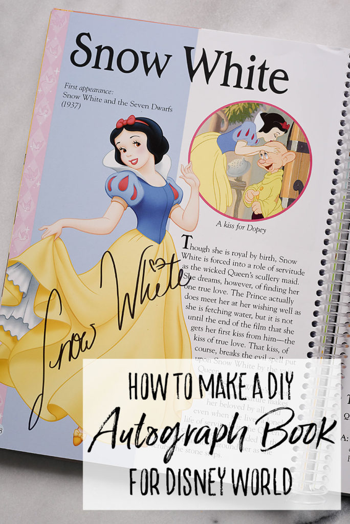 DIY Character Autograph Book - Dream Plan Fly