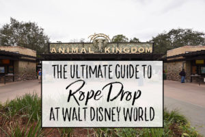 The Ultimate Guide to Rope Drop at Walt Disney World