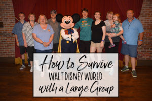 How to Survive Disney World with a Large Group