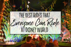 Best Rides that EVERYONE Can Ride at Disney World