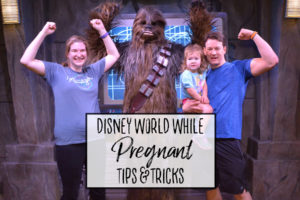 Pregnant at Walt Disney World – Tips and Tricks