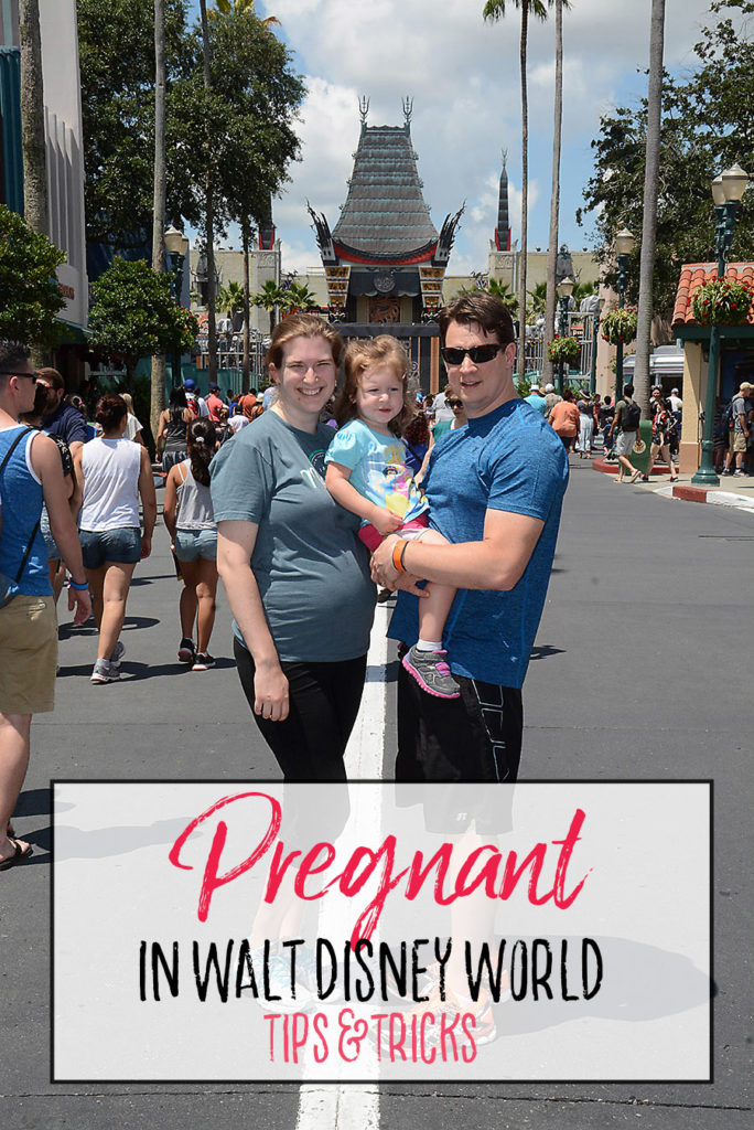 Pregnant at Walt Disney World - Tips and Tricks - Dream Plan Fly
