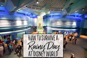 How to Survive a Rainy Day at Disney World